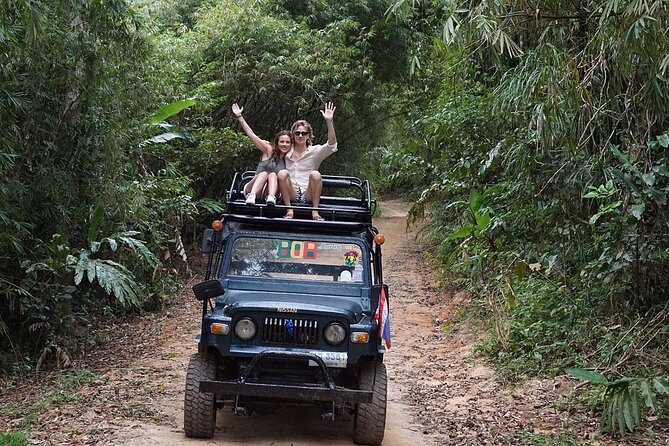 Jungle safari